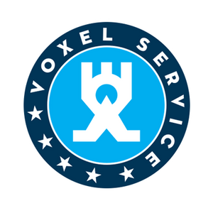 Voxel service
